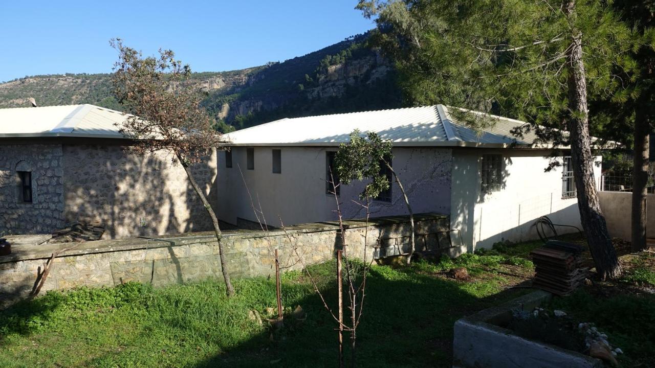 Villa The Old Olive Mill House Aegae Exterior foto