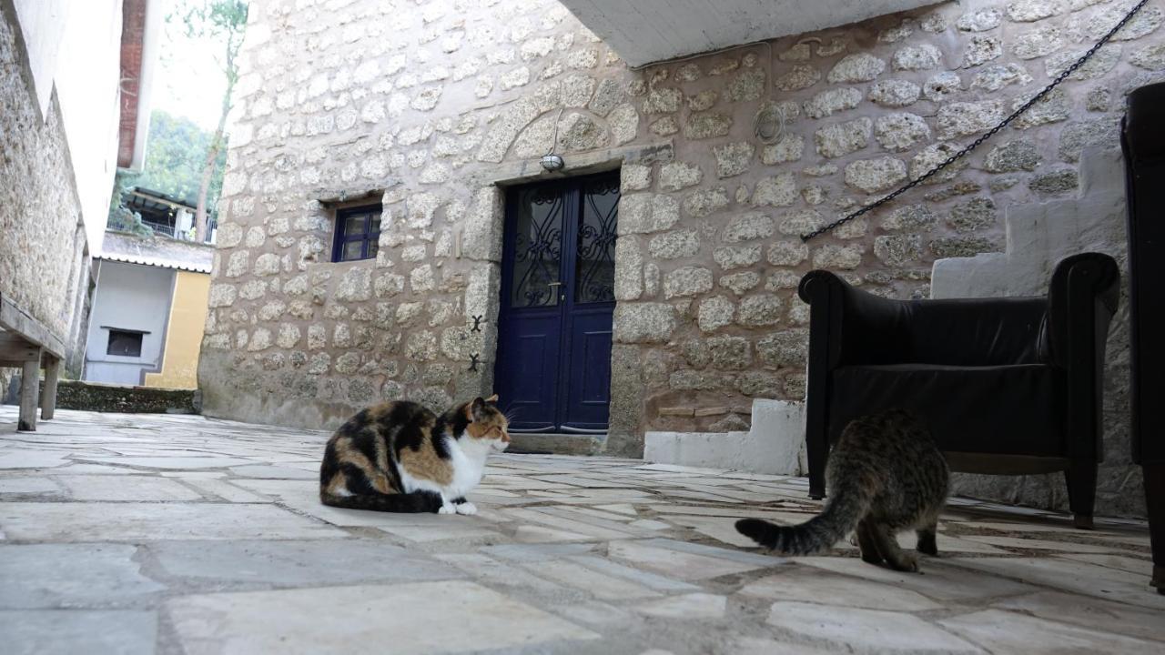 Villa The Old Olive Mill House Aegae Exterior foto